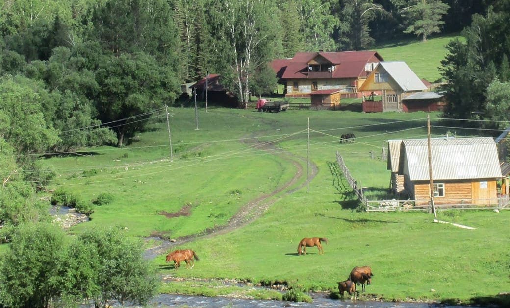 НА НЕДЕЛЮ НА АЛТАЙ! - фото 2