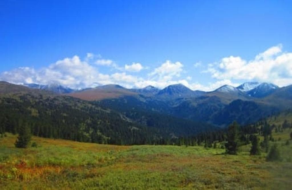 НА НЕДЕЛЮ НА АЛТАЙ! - фото 3