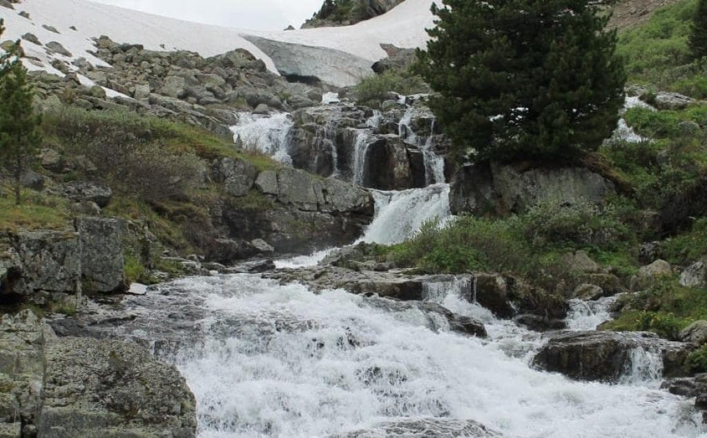 НА НЕДЕЛЮ НА АЛТАЙ! - фото 5