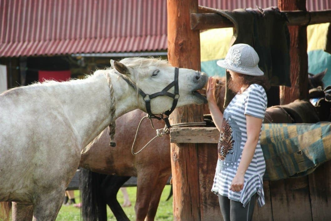 НА НЕДЕЛЮ НА АЛТАЙ! - фото 6