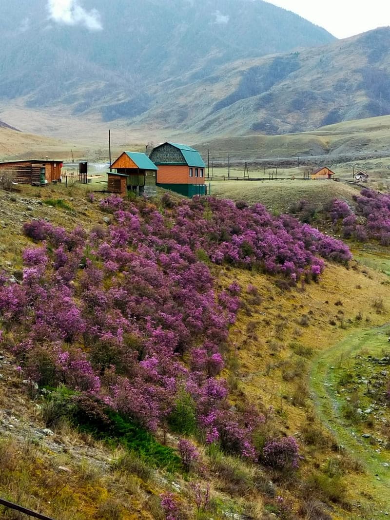Авто-путешествие "Эконом тур на Алтай" - фото 4