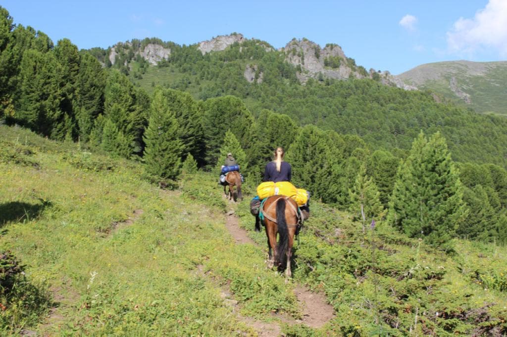 На лошадях к Белухе - фото 1