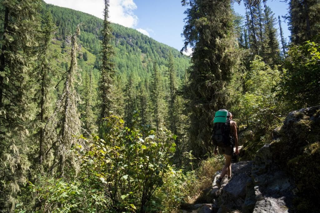 Школа альпинизма на Белухе - фото 6