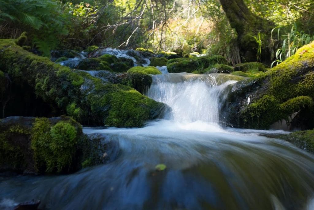 Школа альпинизма на Белухе - фото 13
