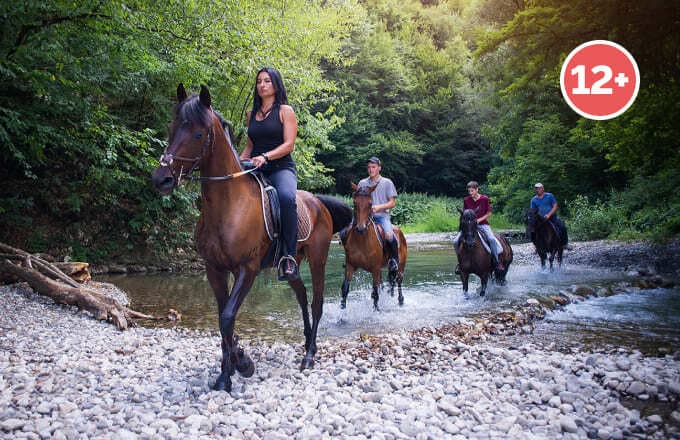 Конная прогулка на день "Для бывалых"