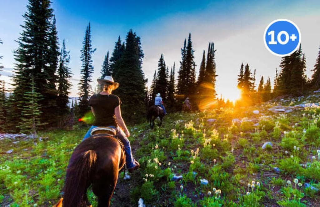 Конная прогулка "Романтика Алтая"