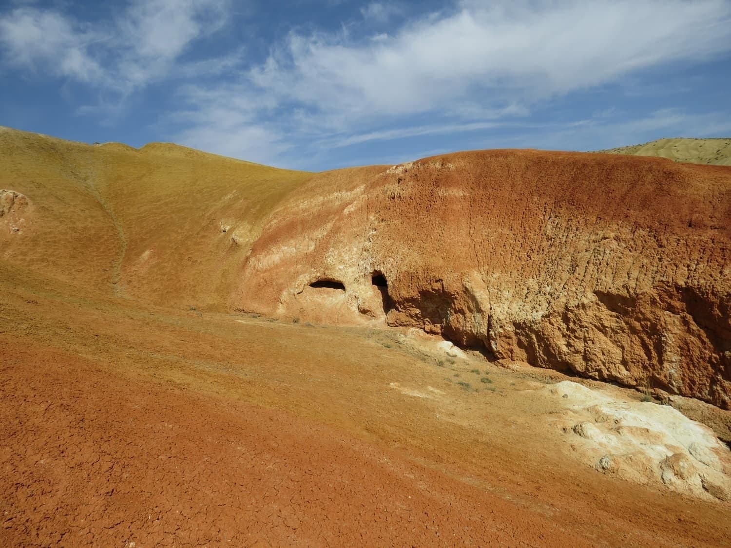 Алтай: 5 дней, 5 тайн - фото 6