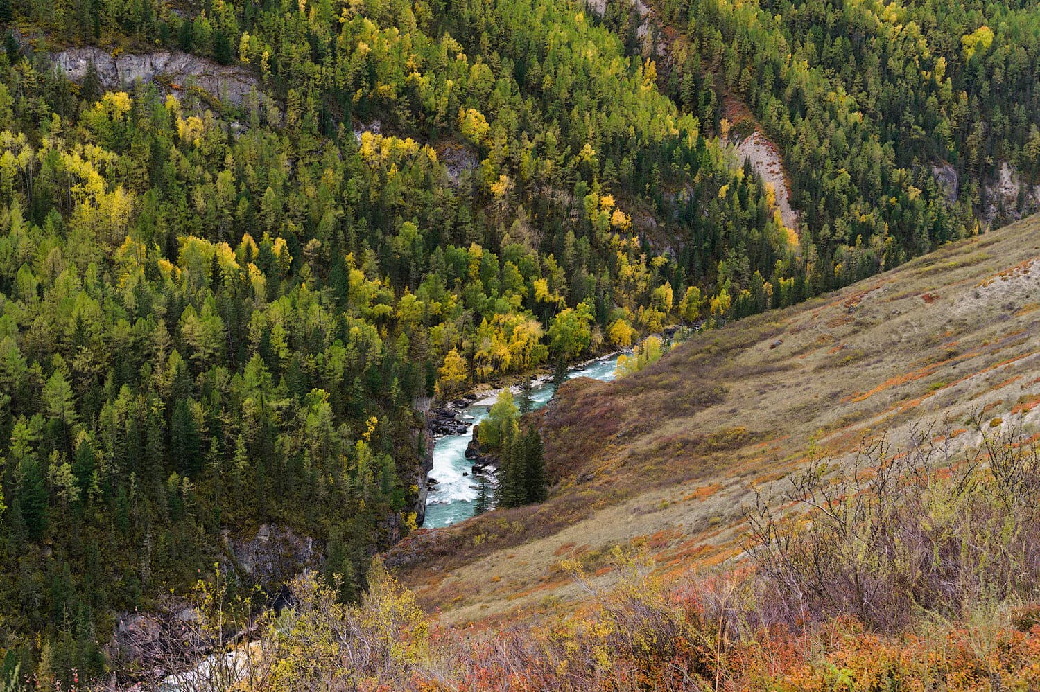 Алтай: 5 дней, 5 тайн - фото 10
