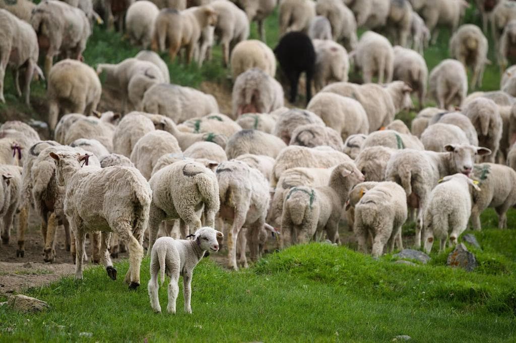 Алтай: 5 дней, 5 тайн - фото 2