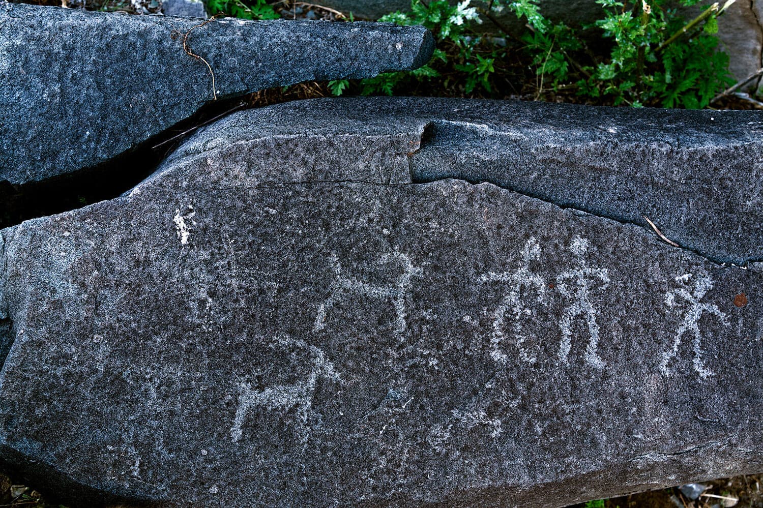 Алтай: 5 дней, 5 тайн - фото 1