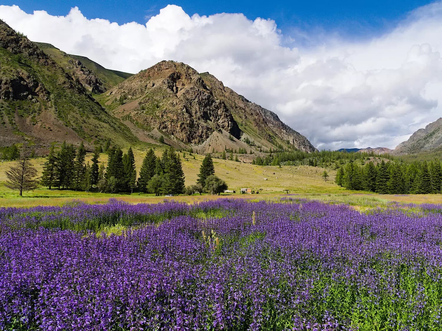 На земле снежного барса - фото 8