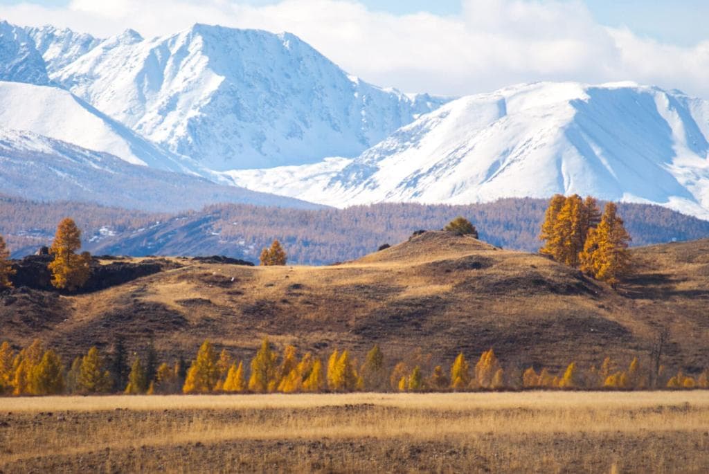 ЗОЛОТО ОСЕНИ - фото 3