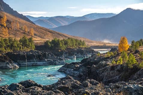 ЗОЛОТО ОСЕНИ - фото 4