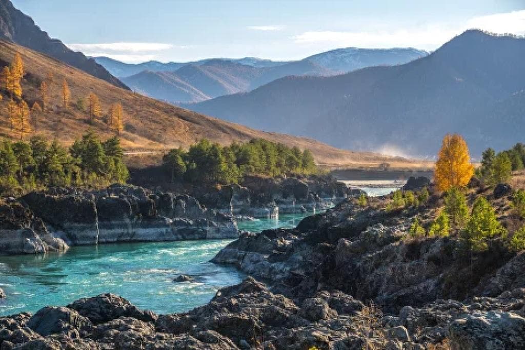 ЗОЛОТО ОСЕНИ - фото 4