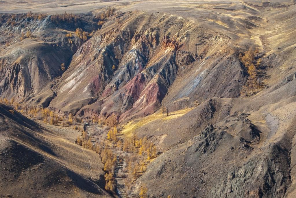 ЗОЛОТО ОСЕНИ - фото 6