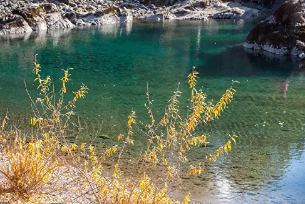 ЗОЛОТО ОСЕНИ - фото 7