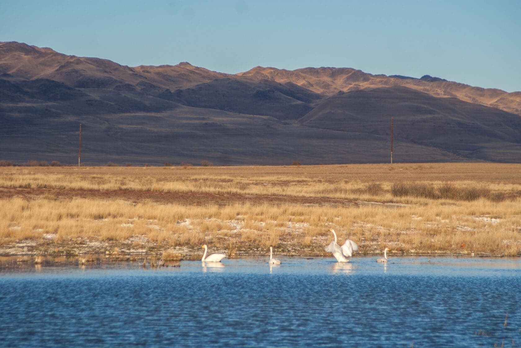 ЗОЛОТО ОСЕНИ - фото 8