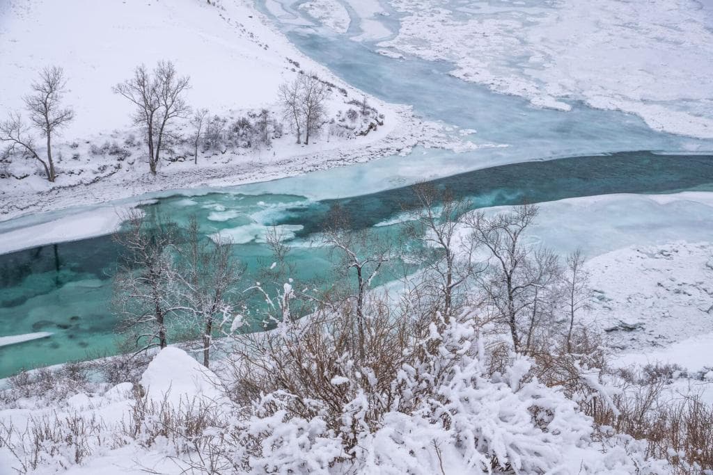 Три сказки - фото 5
