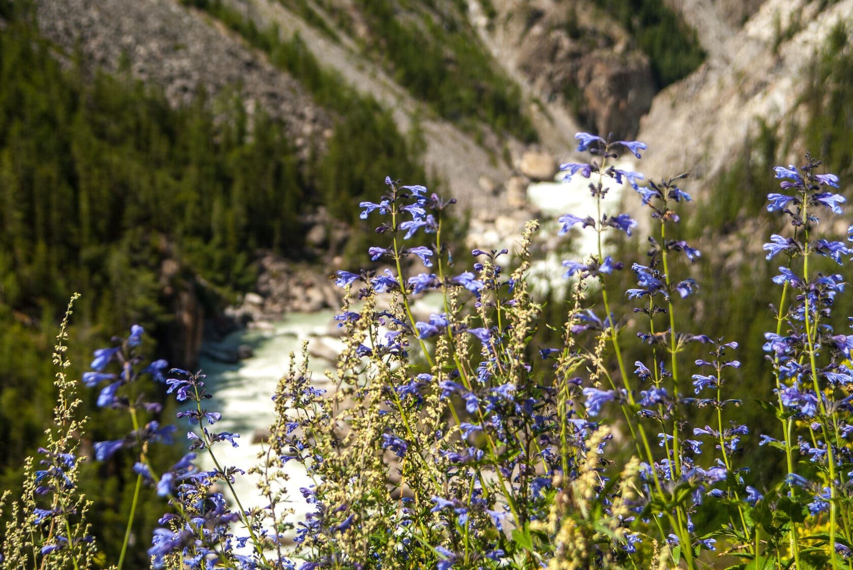 УКОК, КАРАГЕМ И АРГУТ - фото 9