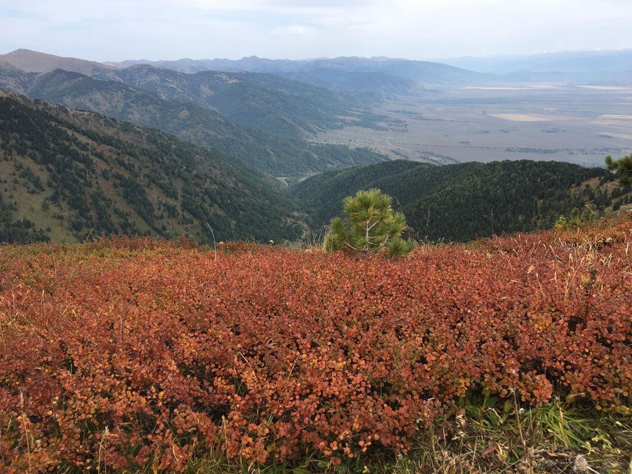 Из сердца синих гор - фото 3