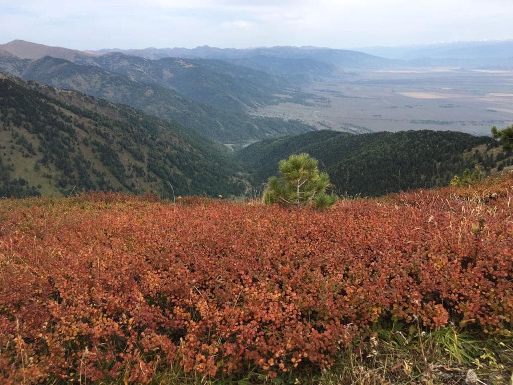 Из сердца синих гор - фото 3