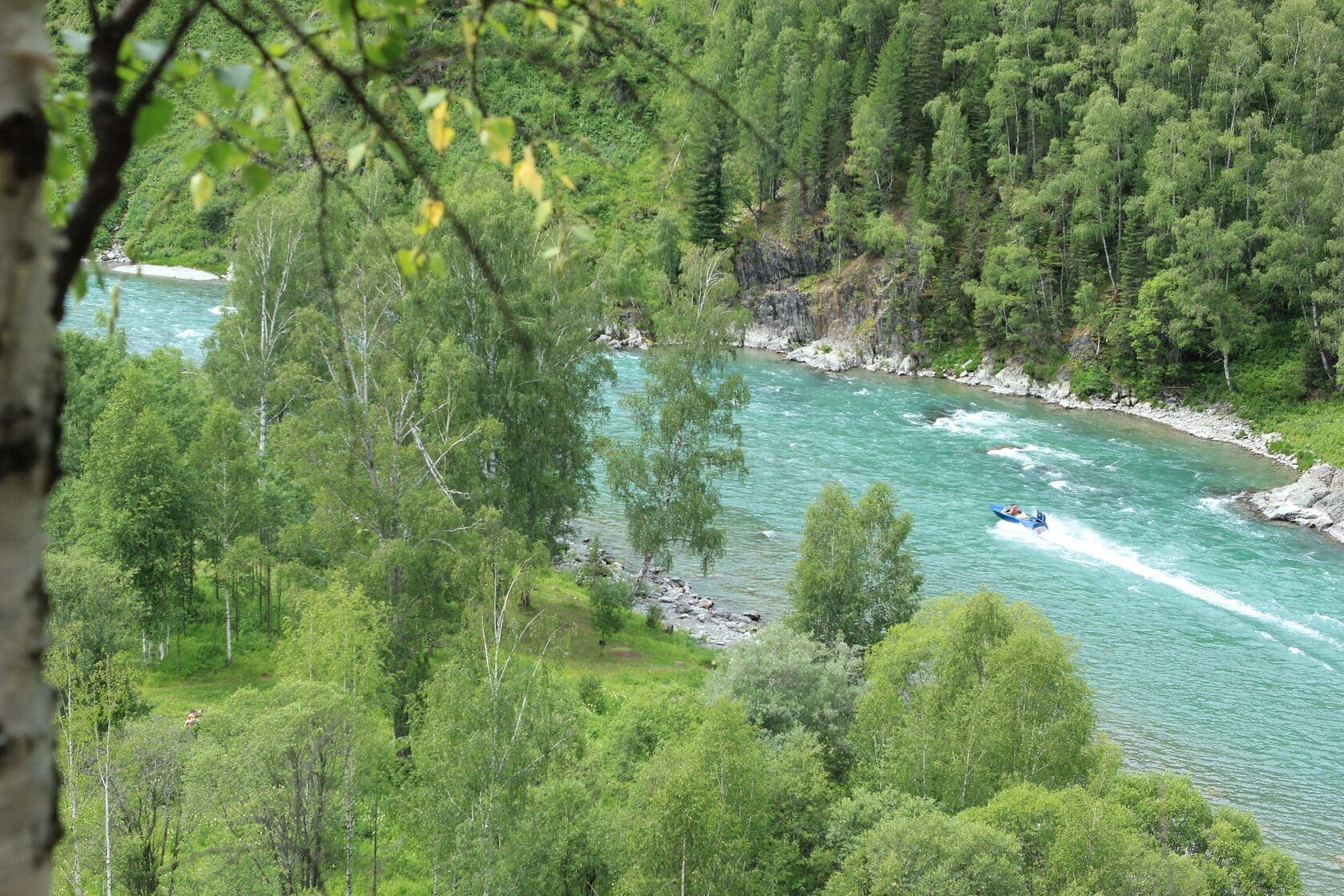 По водам Катуни - фото 3