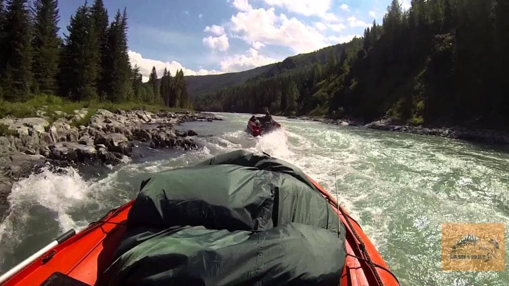 По водам Катуни - фото 5