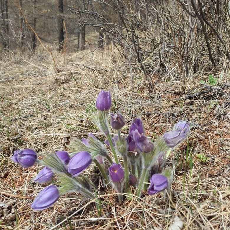 Семейные забавы - фото 2