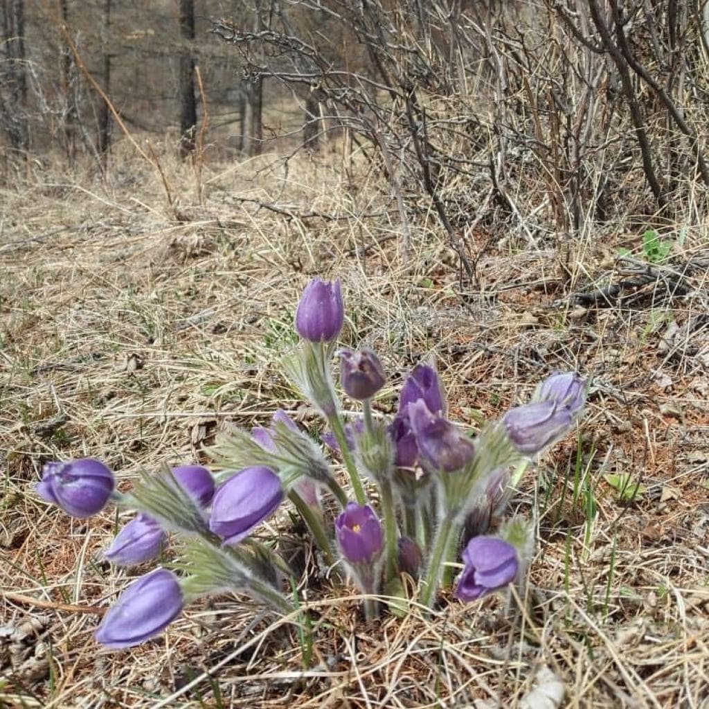 Семейные забавы - фото 2