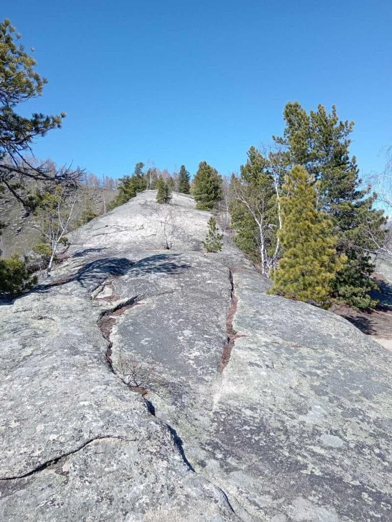 Семейные забавы - фото 4