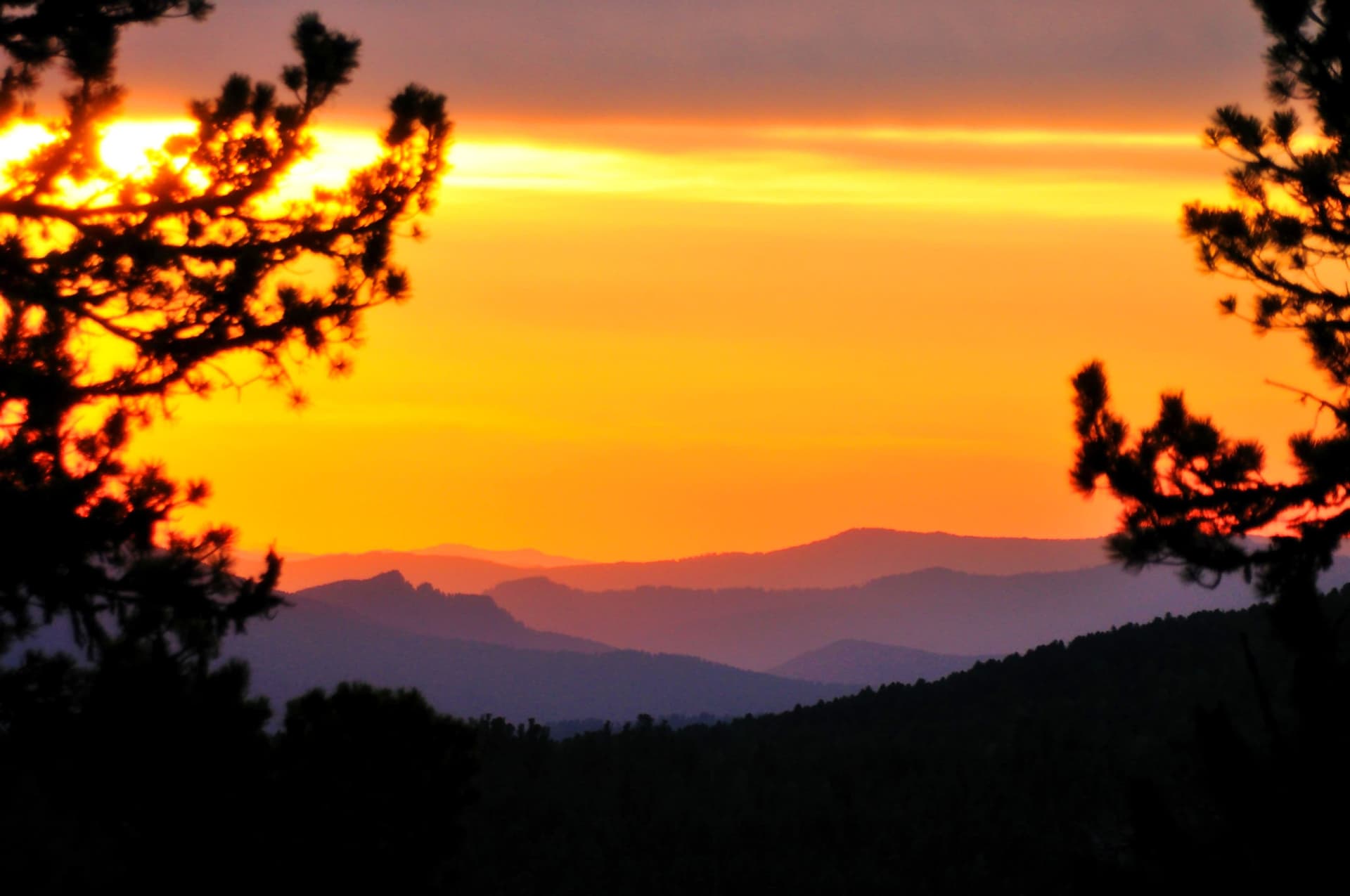 К Каракольским озерам и Нижняя Катунь - фото 1