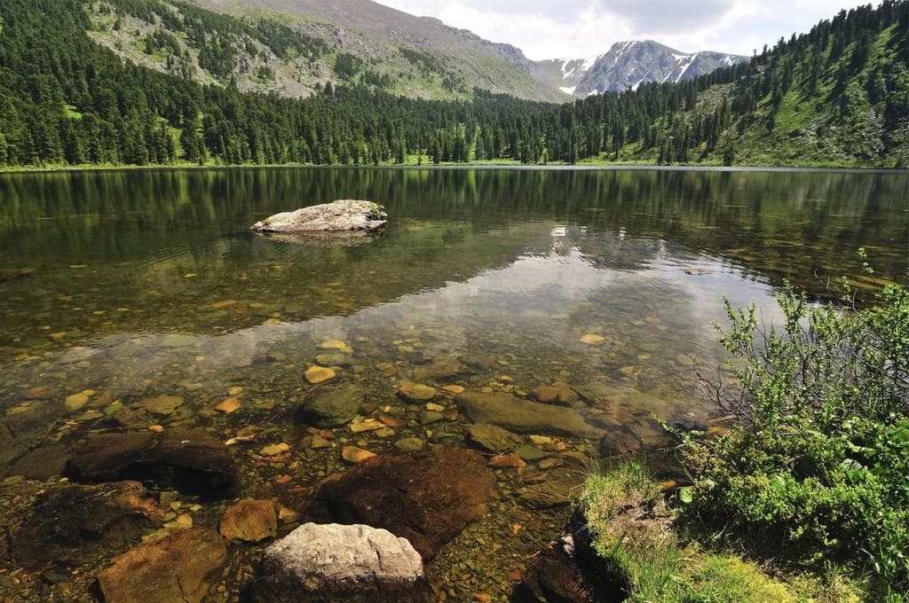 К Каракольским озерам и Нижняя Катунь - фото 5