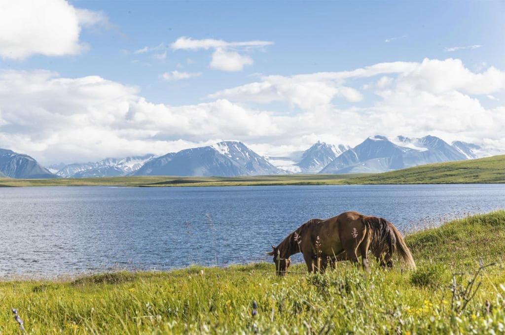 На плато Укок к «Принцессе Алтая» - фото 5