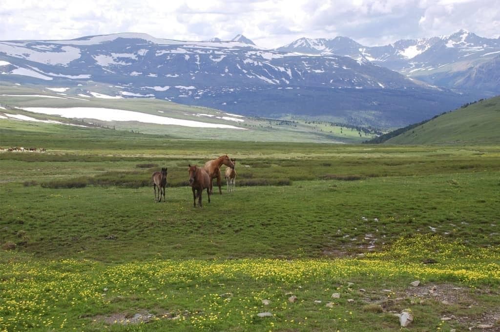 Озеро Арукем, конный тур. - фото 6