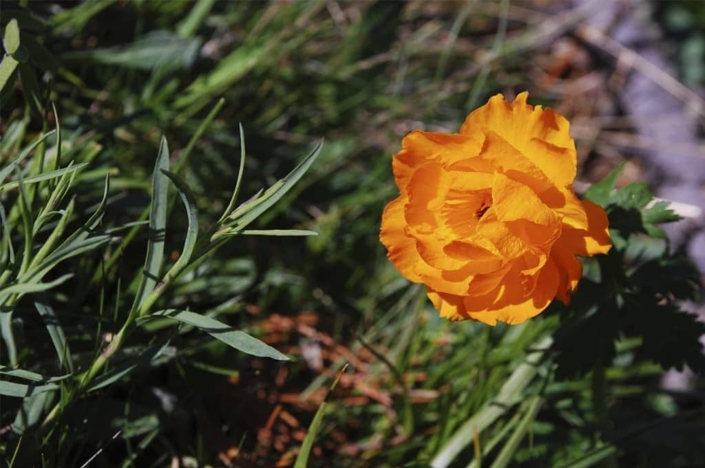 Озеро Арукем, конный тур. - фото 7
