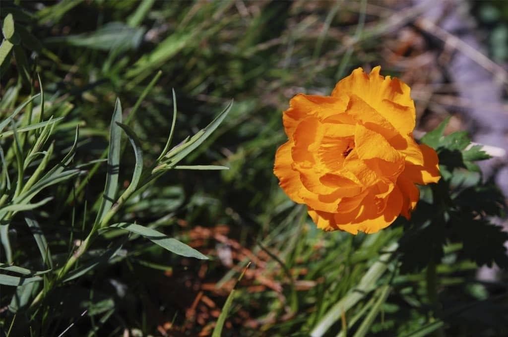 Озеро Арукем, конный тур. - фото 7