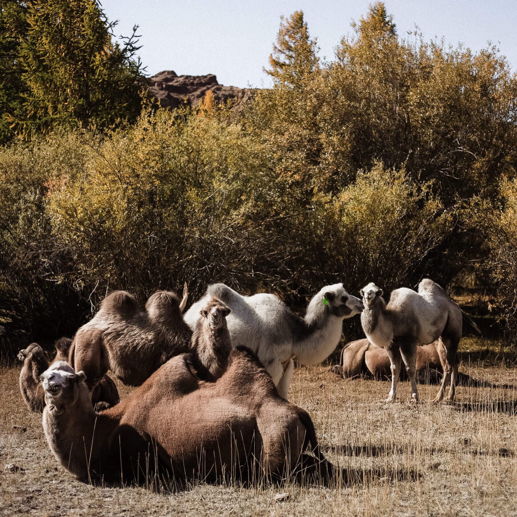 Осенний тур по Горному Алтаю - фото 3