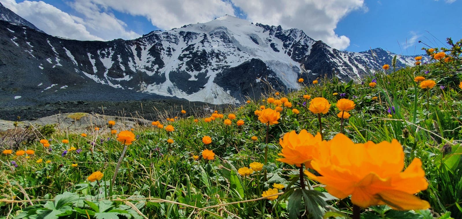 К Белухе - фото 1