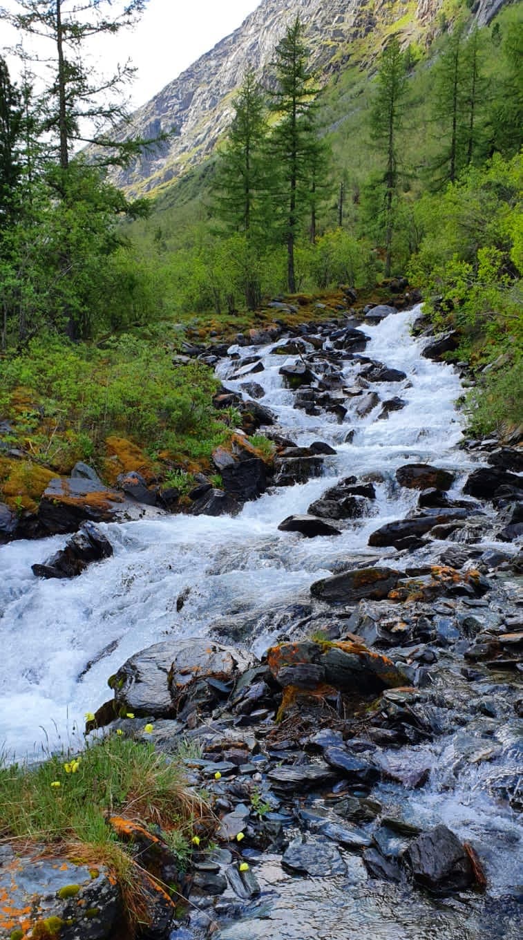 К Белухе - фото 3