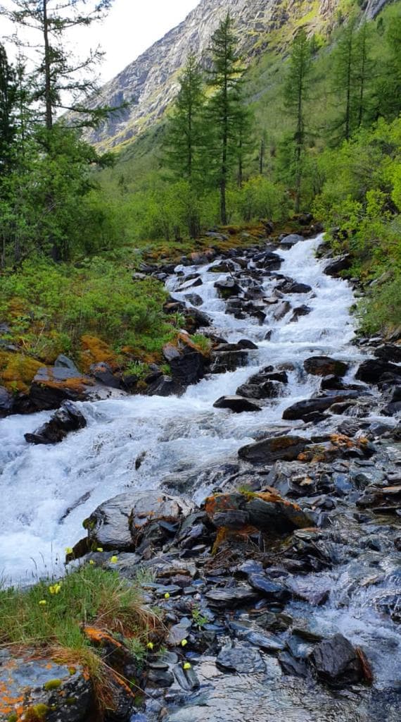 К Белухе - фото 3