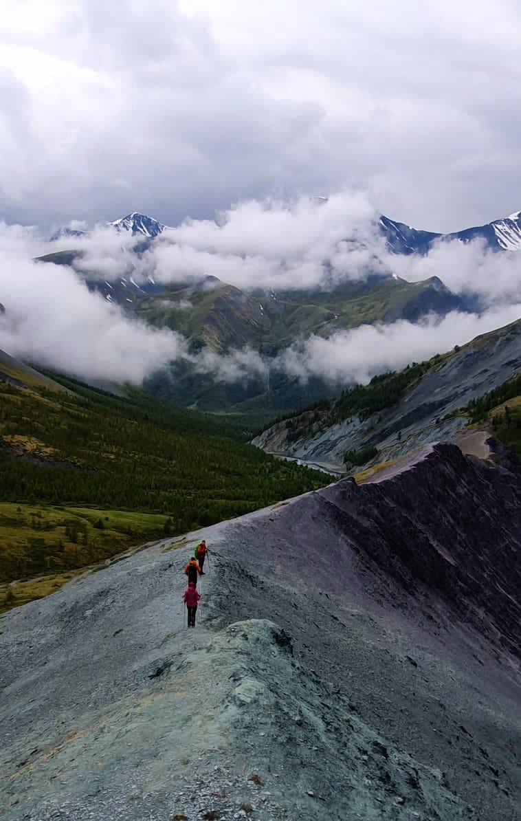 К Белухе - фото 4