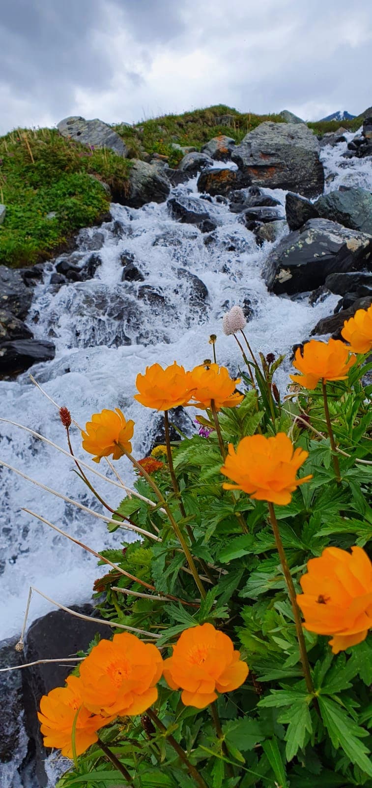 К Белухе - фото 5