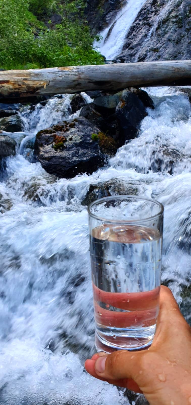 К Белухе - фото 6