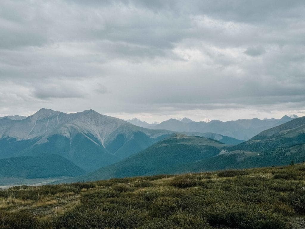 6-дневный тур «Тропа предков» от Altay's Travel - фото 8