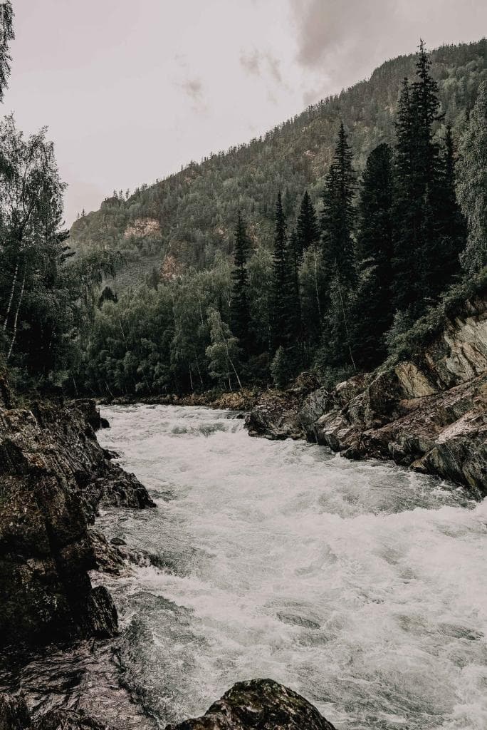 6-дневный тур «Тропа предков» от Altay's Travel - фото 9