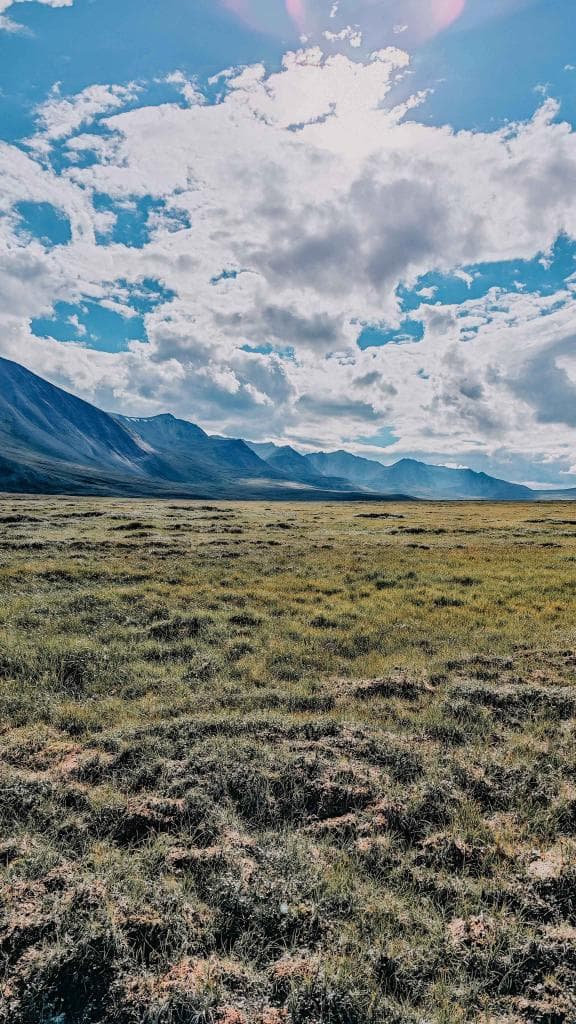 6-дневный тур «Тропа предков» от Altay's Travel - фото 10