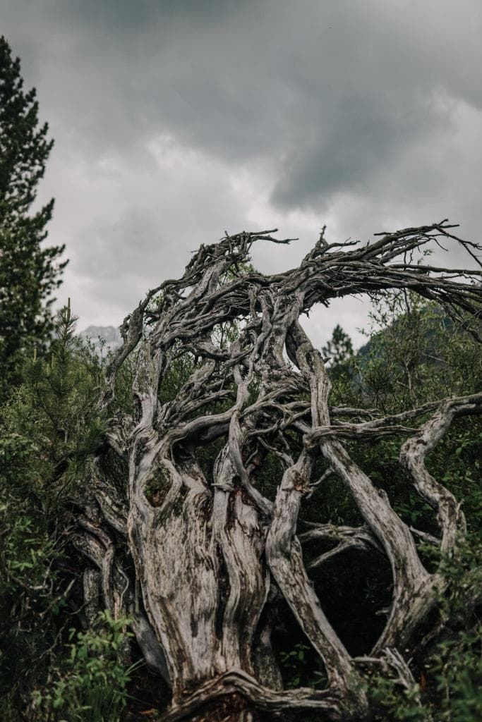 Тур "Мультинские озера" - фото 8