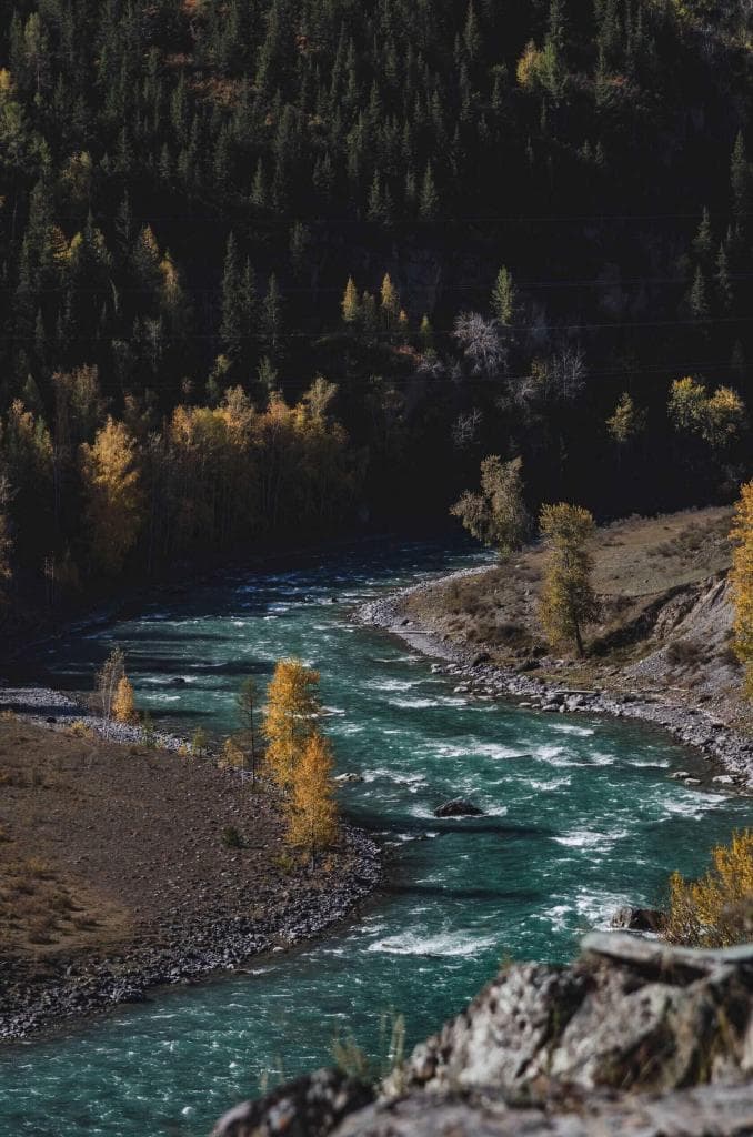 Осенний Алтай - фото 5