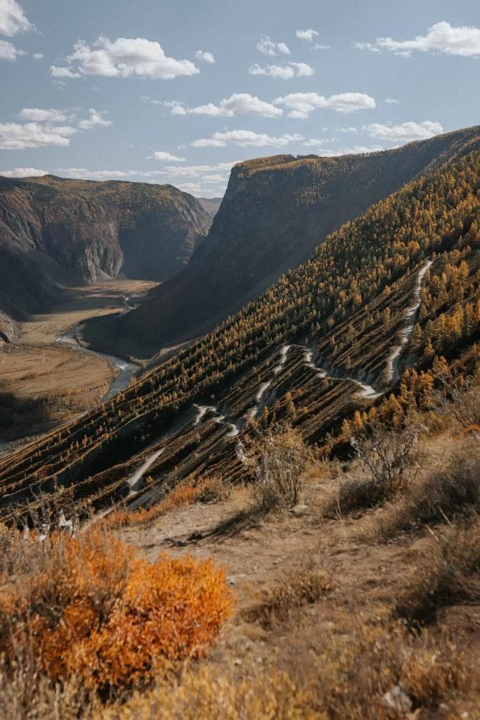 Осенний Алтай - фото 7