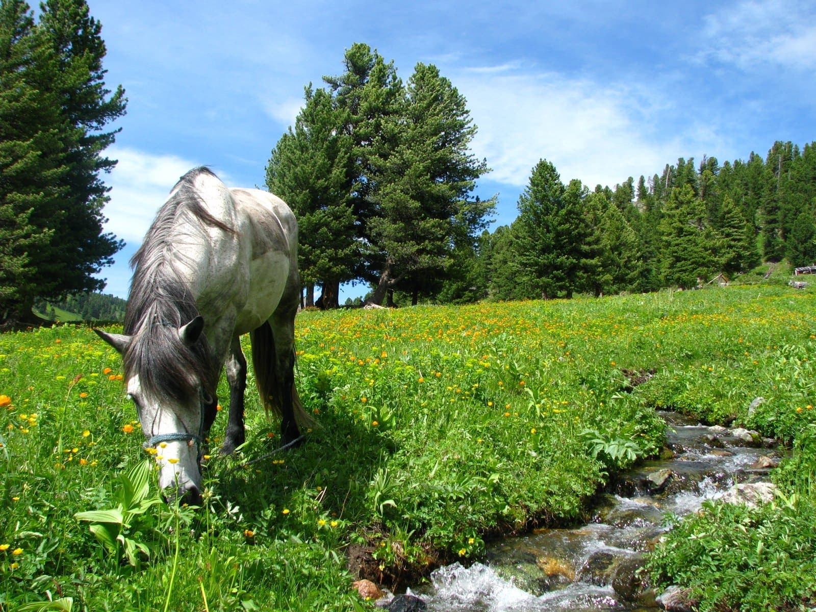 Семь мгновений лета - фото 3
